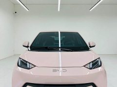 BYD Seagull 2025 405km Flying Edition - ფოტო 2