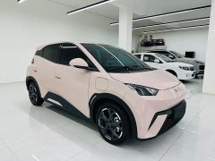 BYD Seagull 2025 405km Flying Edition - ფოტო 3