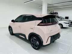 BYD Seagull 2025 405km Flying Edition - ფოტო 7