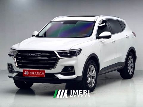 2022 Haval H6 2021 National Trend 1.5GDIT Automatic Champion Edition - ავტომობილი ჩინეთიდან