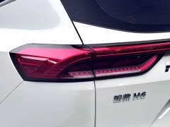 Haval H6 2021 National Trend 1.5GDIT Automatic Champion Edition - ფოტო 20