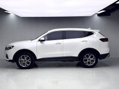 Haval H6 2021 National Trend 1.5GDIT Automatic Champion Edition - ფოტო 9
