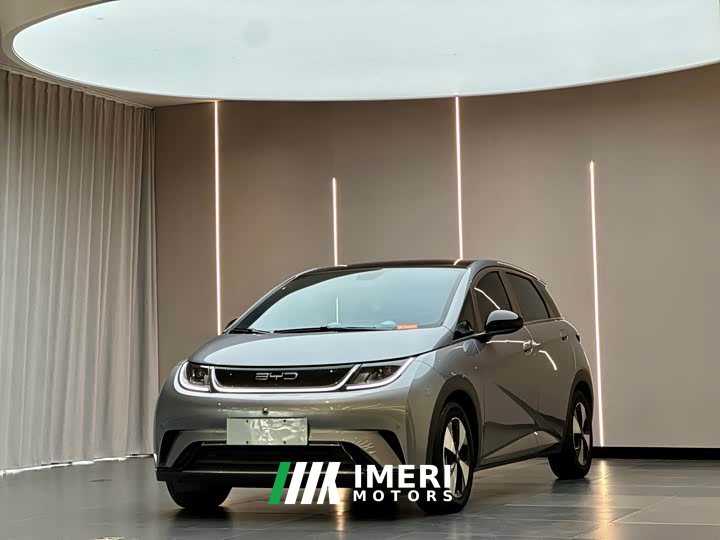 BYD Dolphin 420km Fashion Edition - ავტომობილი ჩინეთიდან