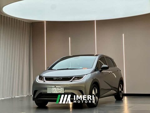 2023 BYD Dolphin 420km Fashion Edition - ავტომობილი ჩინეთიდან