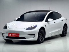 Tesla Model 3 Standard Range RWD Upgrade - ფოტო 1