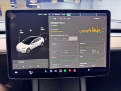 Tesla Model 3 Standard Range RWD Upgrade - ფოტო 14