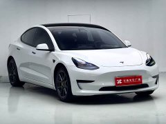 Tesla Model 3 Standard Range RWD Upgrade - ფოტო 3