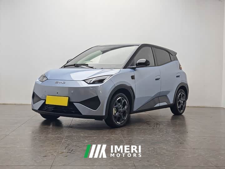 BYD Seagull Smart Driving Edition 305km Freedom Edition
