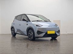 BYD Seagull 2025 Smart Driving Edition 305km Freedom Edition - ფოტო 2