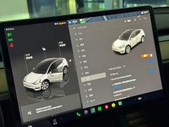 Tesla Model Y Rear-Wheel Drive - ფოტო 10