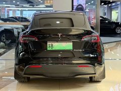 Tesla Model Y Rear-Wheel Drive - ფოტო 4