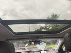 Geely Xingui Xingrui 2.0T Diesel Luxury - фото 13