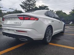 Geely Xingui Xingrui 2.0T Diesel Luxury - фото 16