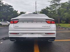 Geely Xingui Xingrui 2.0T Diesel Luxury - фото 17