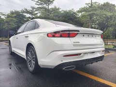 Geely Xingui Xingrui 2.0T Diesel Luxury - фото 18