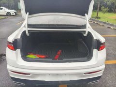 Geely Xingui Xingrui 2.0T Diesel Luxury - фото 19
