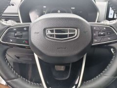 Geely Xingui Xingrui 2.0T Diesel Luxury - фото 6