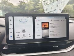 Geely Xingui Xingrui 2.0T Diesel Luxury - фото 7