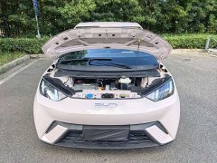 BYD Seagull Glory Edition 305km Vitality Version - ფოტო 17