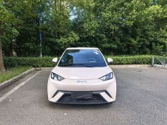 BYD Seagull Glory Edition 305km Vitality Version - ფოტო 2