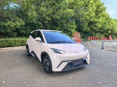 BYD Seagull Glory Edition 305km Vitality Version - ფოტო 3