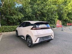 BYD Seagull Glory Edition 305km Vitality Version - ფოტო 5