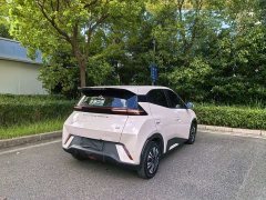 BYD Seagull Glory Edition 305km Vitality Version - ფოტო 7