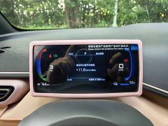 BYD Seagull Glory Edition 305km Vitality Version - ფოტო 8