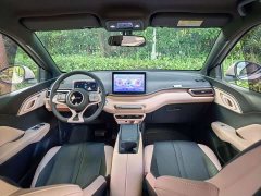 BYD Seagull Glory Edition 305km Vitality Version - ფოტო 9