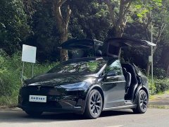 Tesla Model X Dual Motor All-Wheel Drive - ფოტო 1