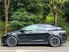 Tesla Model X Dual Motor All-Wheel Drive - ფოტო 2