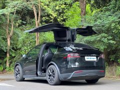 Tesla Model X Dual Motor All-Wheel Drive - ფოტო 3