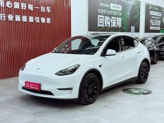 Tesla Model Y Long Range All-Wheel Drive - ფოტო 1