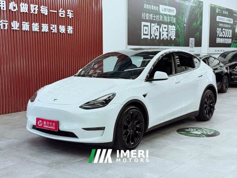 2022 Tesla Model Y Long Range All-Wheel Drive - ავტომობილი ჩინეთიდან
