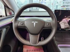 Tesla Model Y Long Range All-Wheel Drive - ფოტო 12