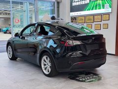 Tesla Model Y Rear-Wheel Drive - ფოტო 5