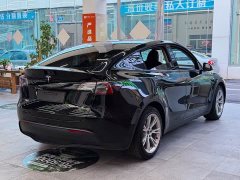 Tesla Model Y Rear-Wheel Drive - ფოტო 7
