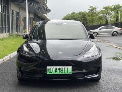 Tesla Model 3 Standard Range RWD Upgrade 3D6 - ფოტო 2