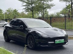Tesla Model 3 Standard Range RWD Upgrade 3D6 - ფოტო 3