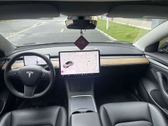 Tesla Model 3 Standard Range RWD Upgrade 3D6 - ფოტო 5