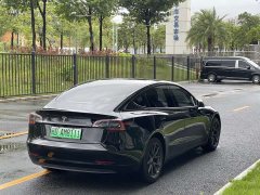 Tesla Model 3 Standard Range RWD Upgrade 3D6 - ფოტო 7