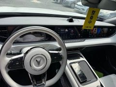 Voyah Lantu FREE 2025 318 259km AWD Explorer Edition - ფოტო 7