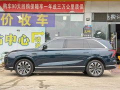Great Wall WEY Blue Mountain 2023 Four-Wheel Drive Extended Range Version - ფოტო 15