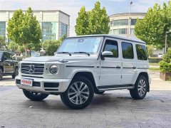 Mercedes-Benz G-Class G 350 - ფოტო 1
