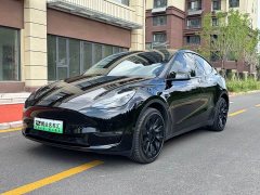 Tesla Model Y 2023 Long Range All-Wheel Drive - ფოტო 1