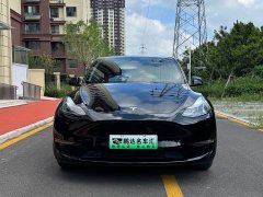 Tesla Model Y 2023 Long Range All-Wheel Drive - ფოტო 2