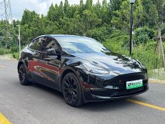 Tesla Model Y 2023 Long Range All-Wheel Drive - ფოტო 3