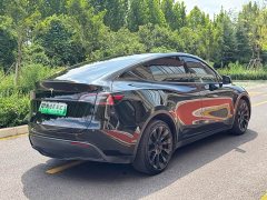 Tesla Model Y 2023 Long Range All-Wheel Drive - ფოტო 7