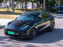 Tesla Model Y 2023 High Performance All-Wheel Drive - ფოტო 1