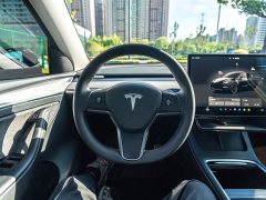 Tesla Model Y 2023 High Performance All-Wheel Drive - ფოტო 11